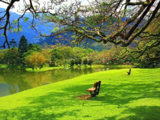 HD-wallpaper-sitting-place-rest-calmness-grass-relax-place-park-trees-lake-pond-mountain-green-beauty-nature-reflection
