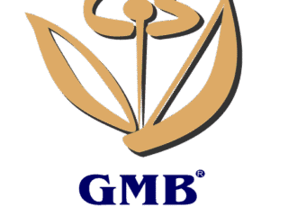gmb-logo-1